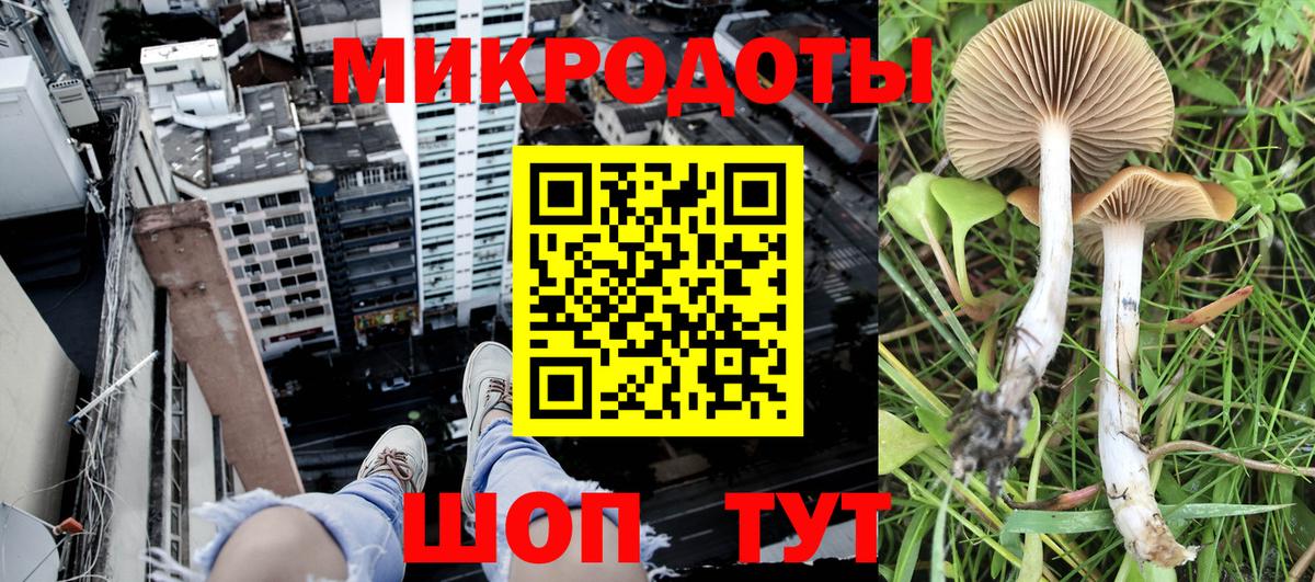Канабис Ейск