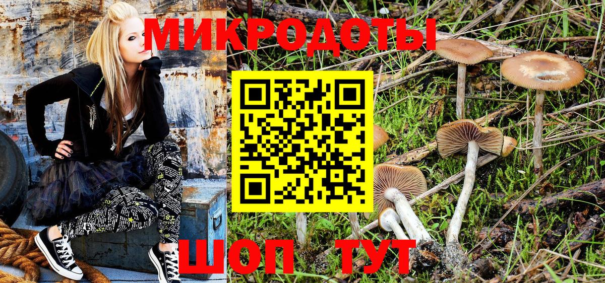 Псилоцибиновые грибы Cubensis Ейск