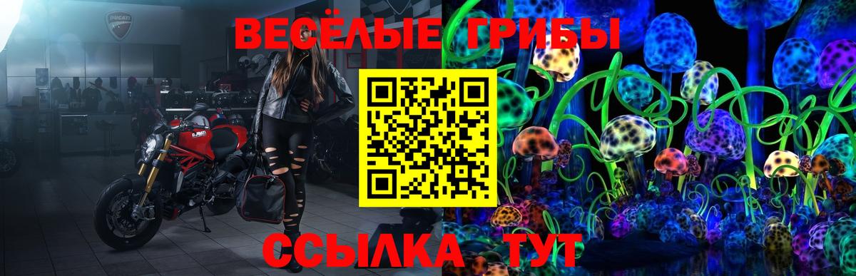 Ейск  Псилоцибиновые грибы MAGIC MUSHROOMS  где найти наркотики  Вход с VPN 